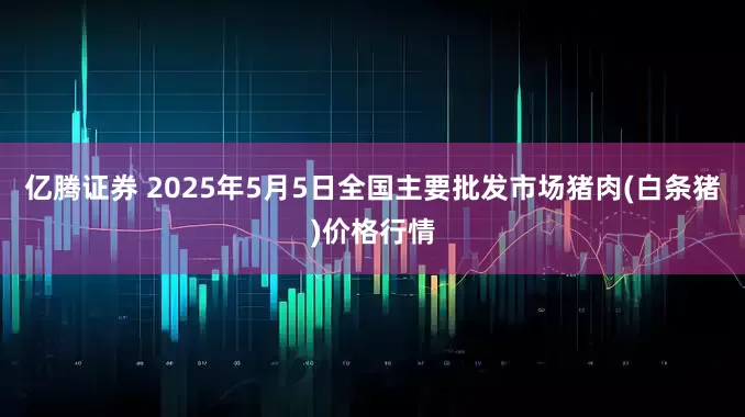 亿腾证券 2025年5月5日全国主要批发市场猪肉(白条猪)价格行情