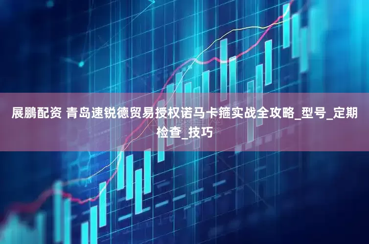 展鵬配资 青岛速锐德贸易授权诺马卡箍实战全攻略_型号_定期检查_技巧