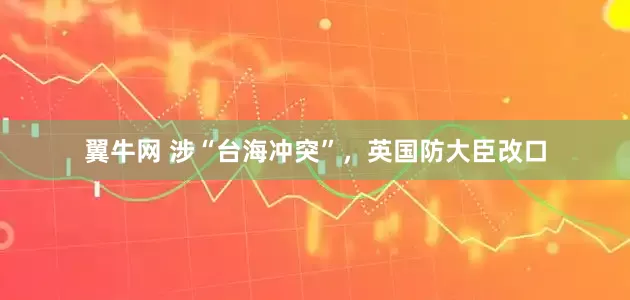 翼牛网 涉“台海冲突”，英国防大臣改口