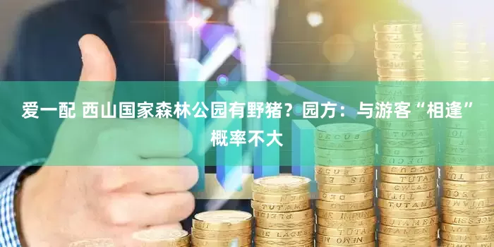 爱一配 西山国家森林公园有野猪？园方：与游客“相逢”概率不大