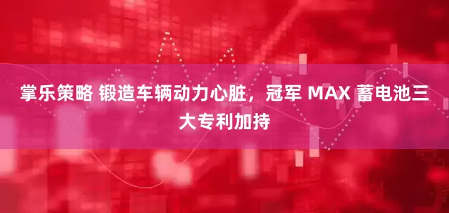 掌乐策略 锻造车辆动力心脏，冠军 MAX 蓄电池三大专利加持